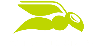 logo_hornetsecurity-cloud-security